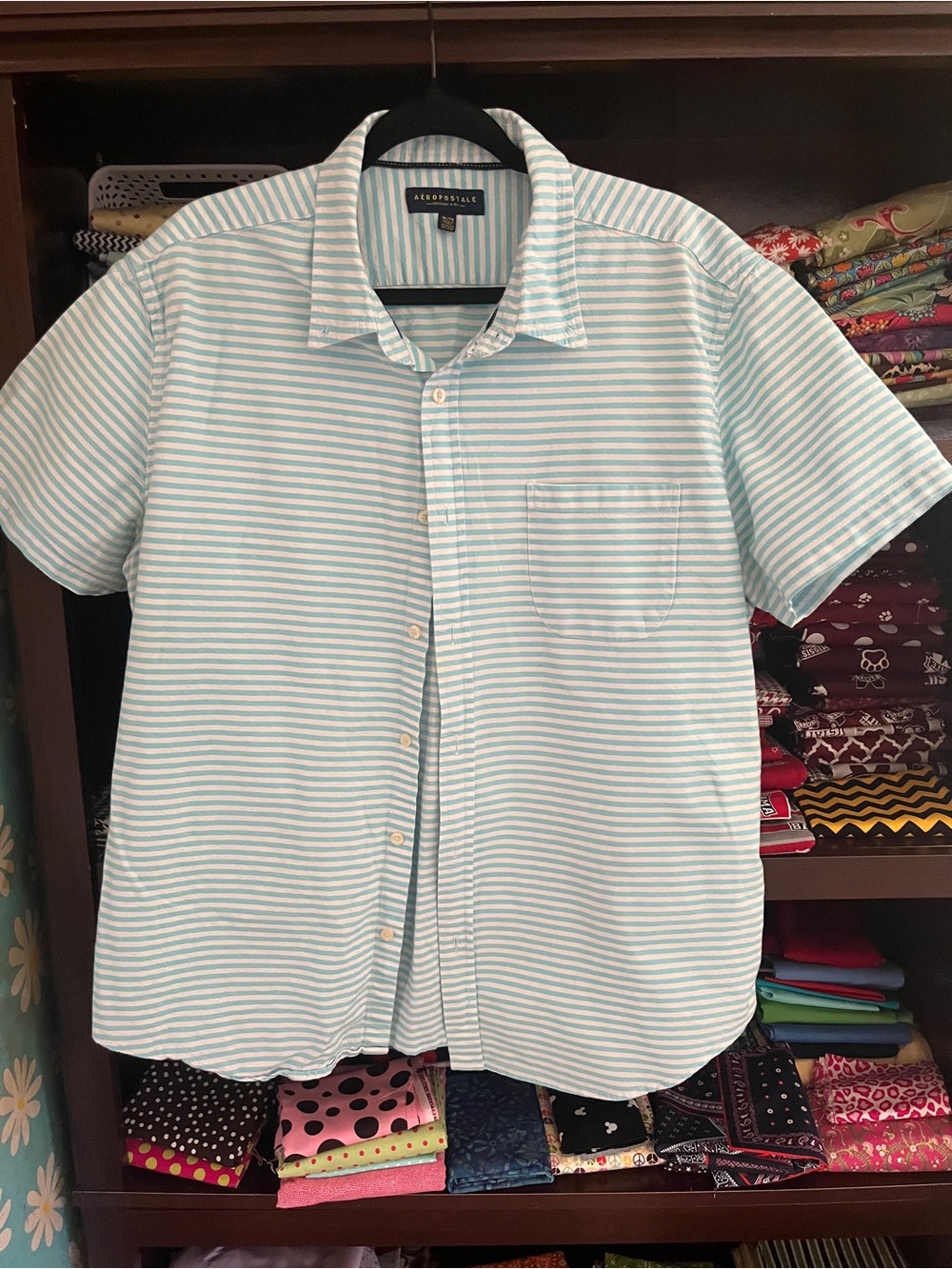 Aeropostale Men’s Mint and White Striped Short-Sleeve Button-Up Shirt